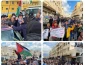 شعارهای توخالی سازمان های غربی در حمایت از حقوق بشر

فلسطینیان آواره در اردوگاه های پناهندگی لبنان در اعتراض به عملکرد «آنروا» تظاهرات کردند+ تصویر