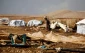 در عرض 3 روز 60 فلسطینی بی خانمان شدند!

درخواست جدی سازمان ملل از ارتش رژیم صهیونیستی در قبال بادیه نشینان عرب