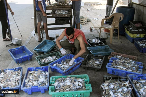 Crab fishing in Gaza waters