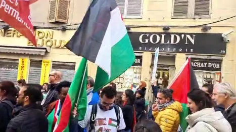 Pro-Palestinian demonstrators rally in France