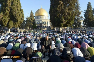 تازه‌ترین نوشته‌ی تحلیلگر آمریکایی - فلسطینی:

راهکار مقاومت در بیت المقدس، معادلات سیاسی را برای همیشه تغییر داد