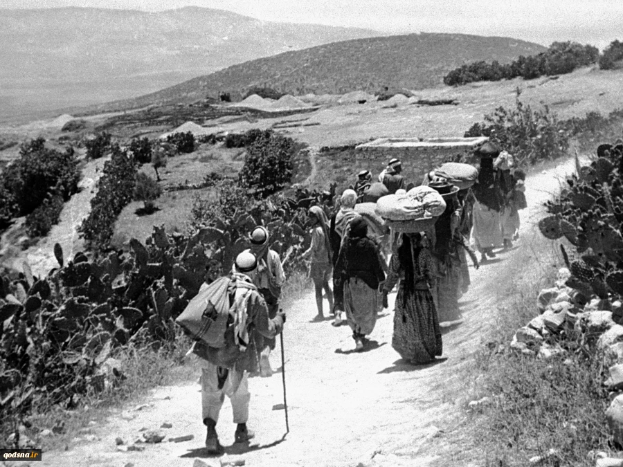 گزارش آماری درباره سالروز اشغال فلسطین(نکبت)-2

تعداد آوارگان و اردوگاه‌های در کشورهای مختلف/ یک میلیون بازداشتی از سال 1967 /  اوضاع فاجعه بار نوار غزه از نظر فقر و بیکاری و بهداشت 2