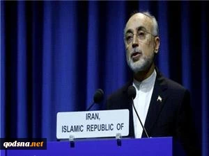 دکتر صالحی در شصت و سومین کنفرانس آژانس:
برجام نقطه عطفی در تاریخ چندجانبه گرایی 2