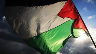 توئیت نماینده پارلمان اروپا در حمایت از مردم فلسطین 4