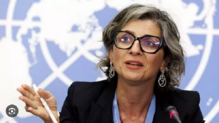 UN special rapporteur:

Israel must be sanctioned to stop Rafah incursion