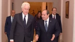 سیسی برنر