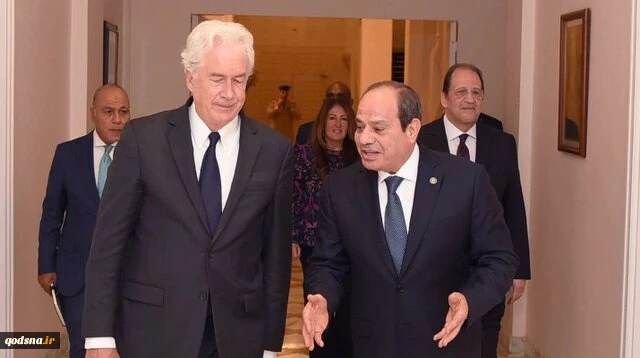 سیسی برنر