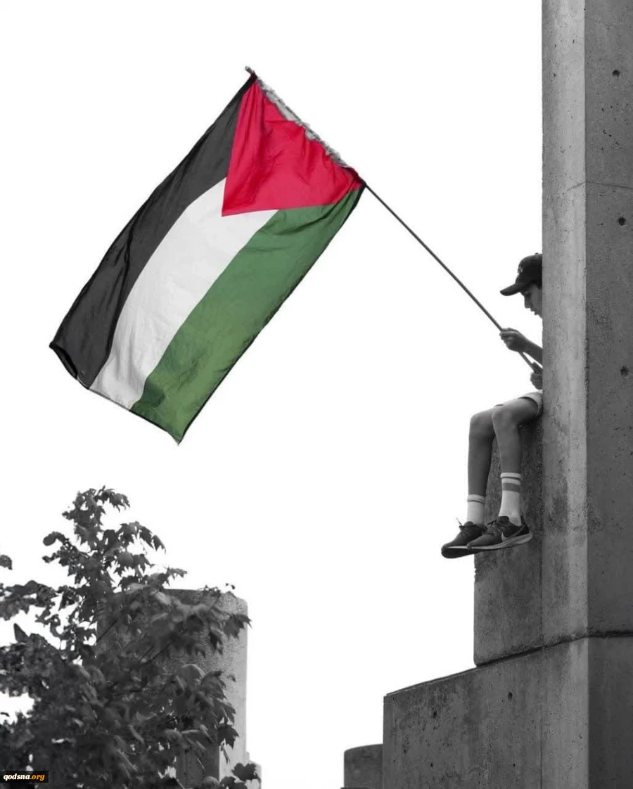 ا دامه فعالیت‌ها و تظاهرات‌ها در کانادا در حمایت از فلسطین و غزه 
 2