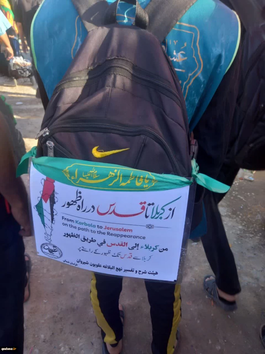 گزارش تصویری راهپیمایی اربعین 1403 (قسمت دوم) 9