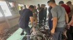 اسرائیل یک مدرسه دیگر را در غزه بمباران کرد 2