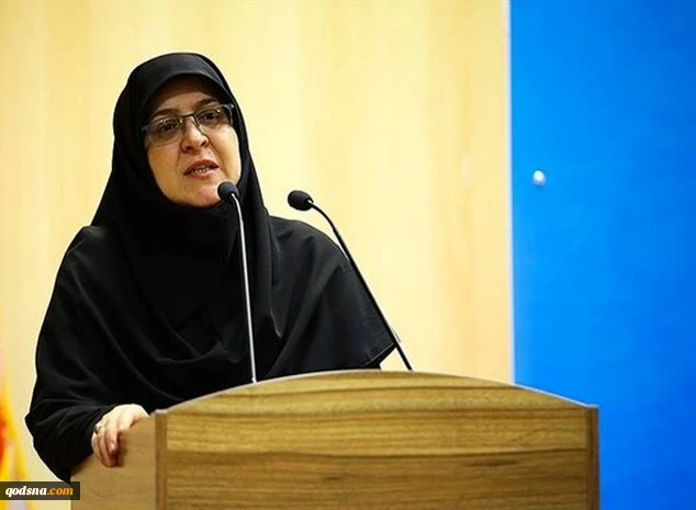 سخنگوی دولت: رژیم صهیونیستی پا را از گلیم خود فراتر نگذارد 2