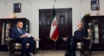 مشاور رهبر معظم انقلاب: از هر تصمیم مقاومت لبنان حمایت می‌کنیم 2