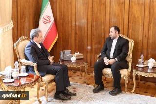 عراقچی در دیدار با سفیر ایران در سوریه:

پیگیری روند تحولات سوریه برای حراست از منافع و امنیت ملی ایران