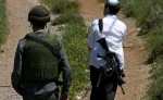 اوچا: ۲۰۲۴ خشن‌ترین سال از سوی شهرک‌نشینان صهیونیست علیه فلسطینیان بود 2