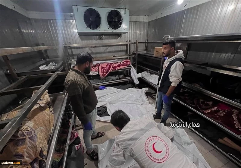 چهارصد و شصتمین روز عملیات طوفان الاقصی؛

استفاده از اسرای فلسطینی به عنوان سپر انسانی در غزه/کابینه رژیم صهیونیستی پیش نویس توافق را بررسی کرد
 2