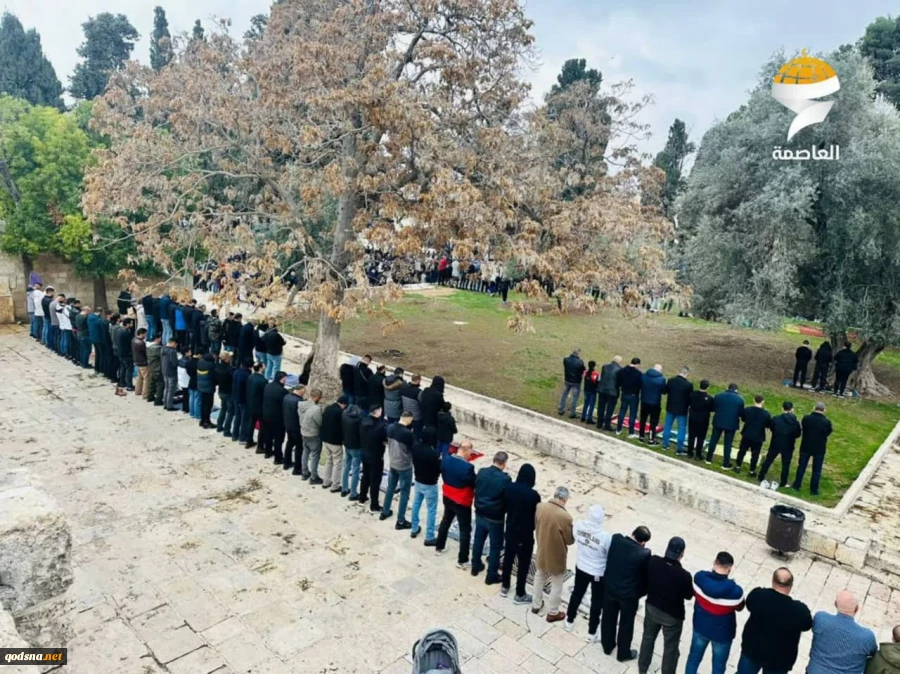 حضور ۵۰ هزار نفر در نماز جمعه مسجد الاقصی  9