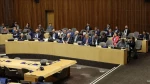 مخالفت گروهی از سفرا در سازمان ملل با طرح آمریکا برای جابجایی اجباری فلسطینی‌ها 2