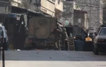 جنین