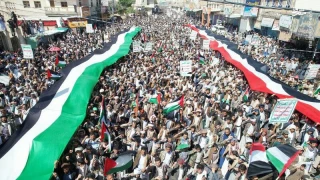 "زمینگیری متحدین در یمن و غزه"