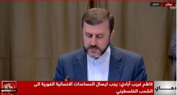 نائب وزير الخارجية الايراني للشؤون القانونية والدولية: الضروروة تقتضي ارسال مساعدات فورية الى غزة 2