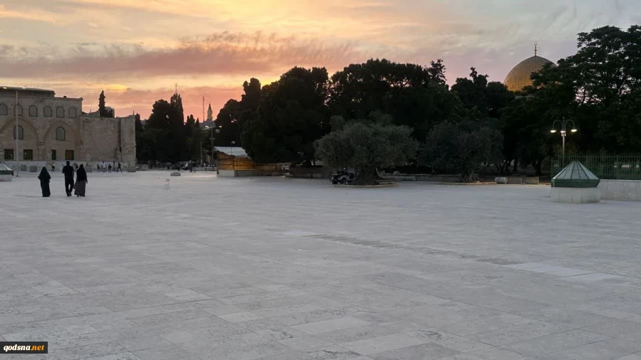 تصاویری از صبح زیبای مسجد الاقصی 5