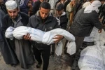 ۲۲۰۰ خانواده فلسطینی در جنگ غزه به طور کامل از بین رفته‌اند
 2