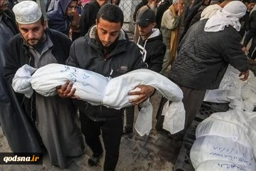۲۲۰۰ خانواده فلسطینی در جنگ غزه به طور کامل از بین رفته‌اند
 2