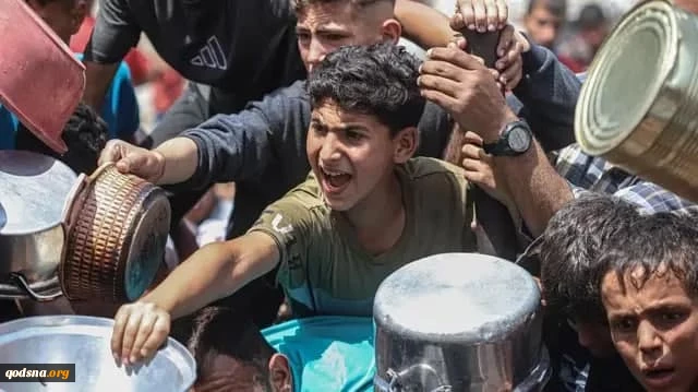 GMO: 110 Gaza aid seekers killed, 583 others injured in recent Israeli attacks

 2