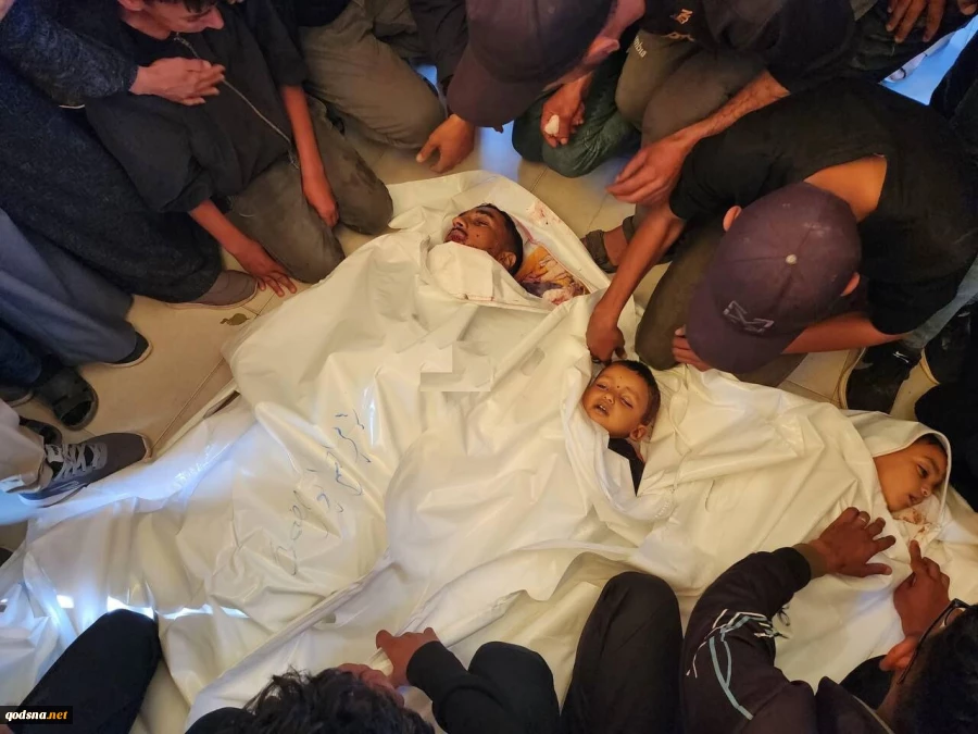 شهادت پنج فلسطینی در جنوب نوار غزه 2