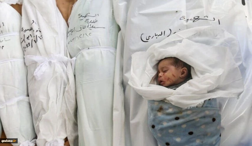 جنایت در پوشش کمک‌رسانی به غزه... موسسه آمریکایی عامل شهادت ۱۳۰ فلسطینی  2