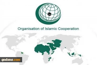نشست سازمان همکاری اسلامی