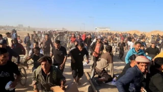 516 Palestinians martyred in Israeli-US death-trap aid zones across Gaza