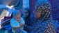 نقص‌های مادرزادی و تولد نوزادان ناقص؛  فاجعه‌ای انسانی در غزه به‌خاطر تجاوزات رژیم صهیونیستی
