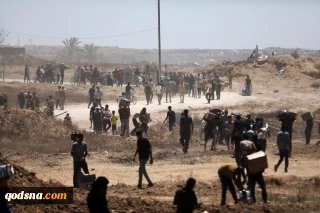 Hamas calls for ending Zionist regime's deadly distribution of aid in Gaza