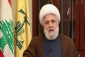نعیم قاسم: خبر «طوفان الاقصی» نیم ساعت پس از آغاز به «نصرالله» رسید 2