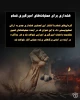اینفوگرافی اختصاصی/

کمین خان‌یونس چگونه ارتش شکست خورده صهیونی را رسوا کرد؟ 5