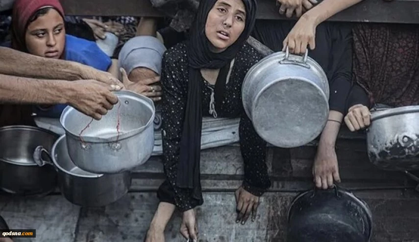 ۲۵ کشور جهان خواستار توقف فوری نسل‌کشی در غزه شدند 2