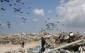 لازارینی: پرتاب هوایی کمک‌ها به غزه ناکارآمد و انحرافی است 2