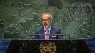 Portugal open to recognizing Palestinian state: FM