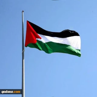 از فلسطین، سرزمینمان بیرون نمی رویم