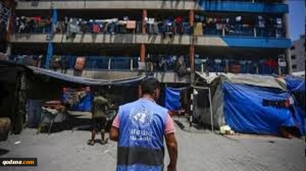 شهادت ۳۶۰ نفر از کارکنان آنروا از آغاز جنگ علیه غزه 2