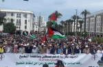 تظاهرات گسترده مغربی‌ها در حمایت از غزه/ خشم و انزجار مردم یونان از ورود گردشگران صهیونیست به کشورشان/ درخواست مردم هلند برای تحریم شدید رژیم صهیونیستی 2