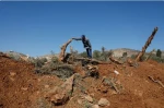 محاصره یک روستای فلسطینی در شمال رام شرقی رام‌الله/ صهیونیستها 10 هزار اصله درخت زیتون را از بین بردند 2