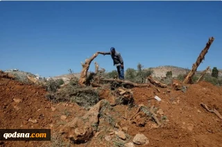 محاصره یک روستای فلسطینی در شمال رام شرقی رام‌الله/ صهیونیستها 10 هزار اصله درخت زیتون را از بین بردند