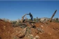 محاصره یک روستای فلسطینی در شمال رام شرقی رام‌الله/ صهیونیستها 10 هزار اصله درخت زیتون را از بین بردند