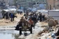 بی‌خانمان شدن بیش از ۵۰ هزار فلسطینی در غزه در کمتر از یک هفته 2