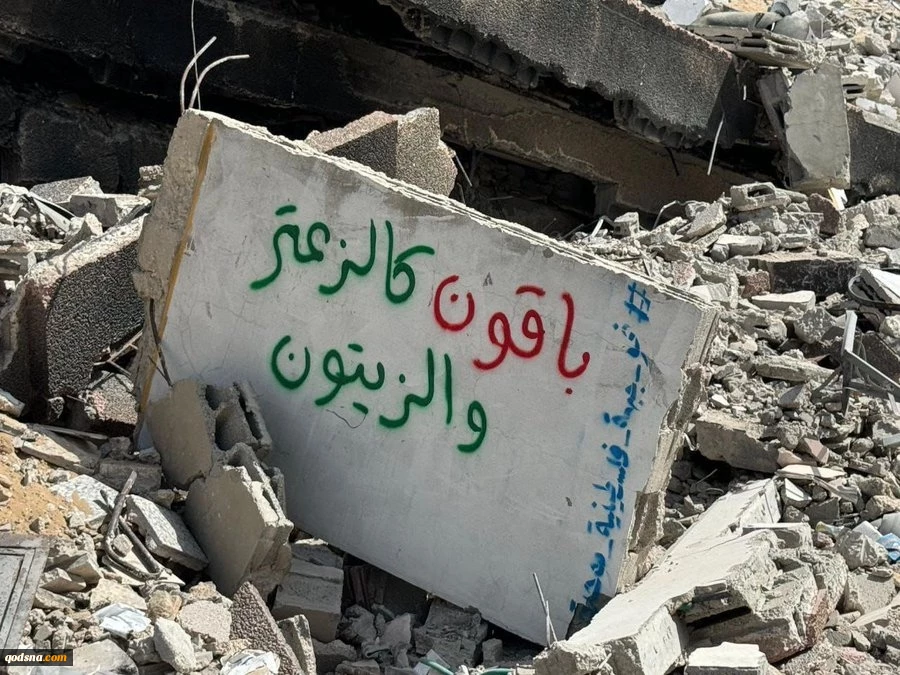 900,000 Palestinians in Gaza refuse displacement despite relentless Israeli bombardment
