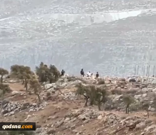 ادامه تجاوزات و جنایات اشغالگران در کرانه باختری /

حمله شهرک نشینان صهیونیست به رام‌الله/ یک جوان فلسطینی به شهادت رسید