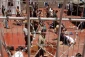ممانعت اشغالگران از دستیابی اسرا به لباس گرم