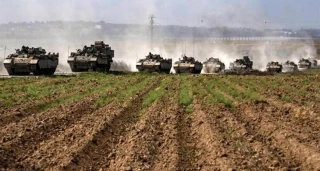 نابودی ۸۷ درصد اراضی کشاورزی در غزه / هشدار فائو نسبت به فروپاشی نظام غذایی